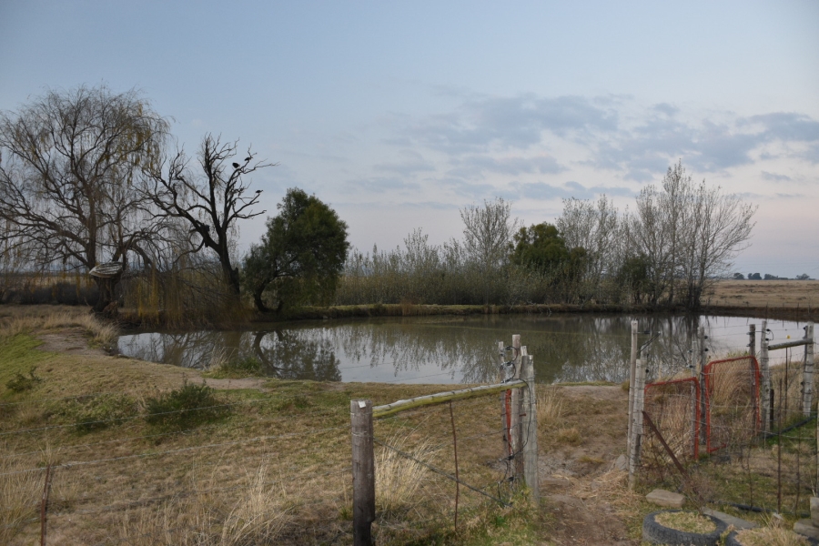 4 Bedroom Property for Sale in Rouxville Free State